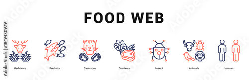 Food Web Modern and clean web banner illustration featuring thematic icons for visual communication
