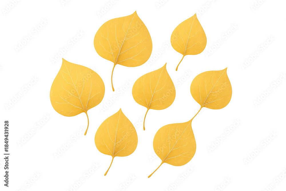 Fototapeta premium Yellow autumn leaves falling transparent background representing season changing and nature lifecycle