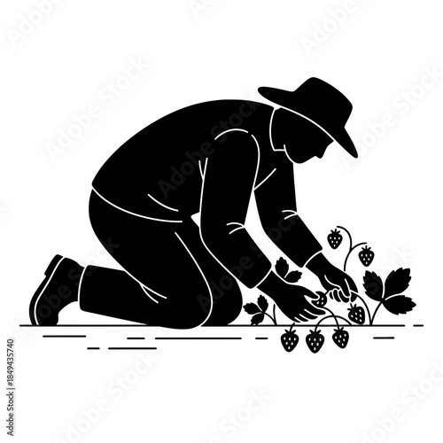 Harvesting sunflowers farmer silhouette vector illustration