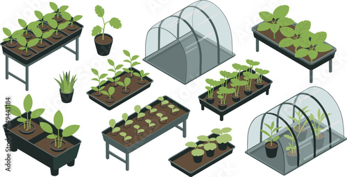 Isometric gardening and greenhouse illustration, plant seedlings growing in pots and trays, urban farming cultivation system isolated on white