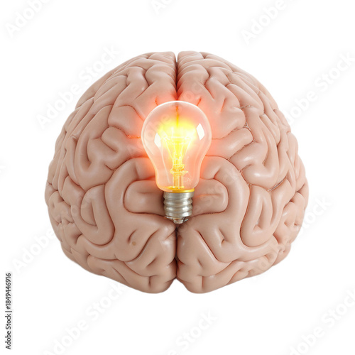 Creative brain model with glowing light bulb symbolizes innovative ideas and inspiration against transparent background