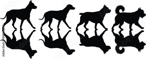 Silhouettes of walking dogs with mirrored reflections, canine outlines, pet animal icons, black vector style on clean white background surface