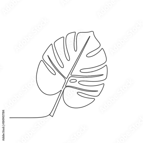 A minimalist line drawing of a single Monstera leaf with its characteristic fenestrations and a stem extending to the left.