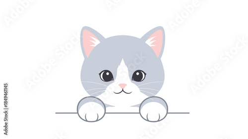 Cute grey and white kitten peeking over a surface with paws outstretched