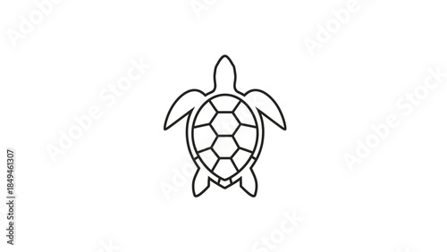 Simple Line Drawing of a Tortoise Shell Pattern on a White Background