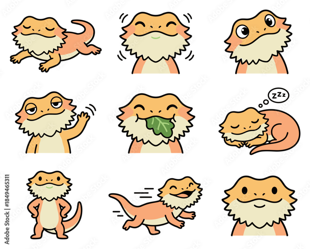 Obraz premium Bearded dragon cute lizard character icons set in various poses