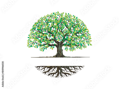 tree and roots logo templates in circular shape, oak tree with the gap between the tree and the root to fill in the writing.