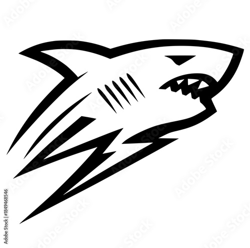 Thunder shark silhouette