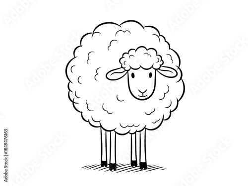 A black and white drawing of a sheep standing on all four legs with a fluffy wool coat