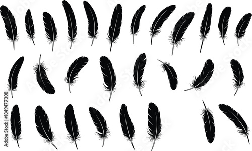 Black feather silhouette collection, hand drawn bird plumage shapes, minimalist boho elements, decorative natural vector illustration set