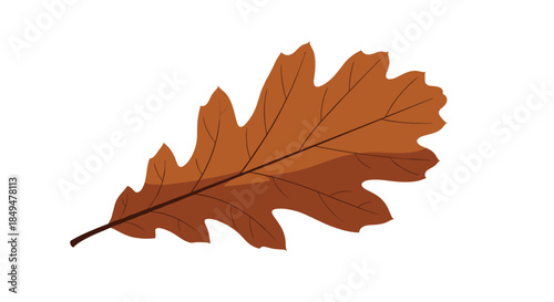 A stylized illustration of a single brown oak leaf, showcasing its distinctive lobed shape, venation, and warm autumnal hue, isolated on white.