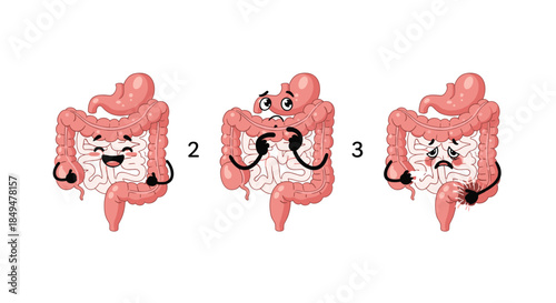 Set of three cute cartoon intestine characters showing various health states from happy and healthy to sad, bloated, and in pain.
