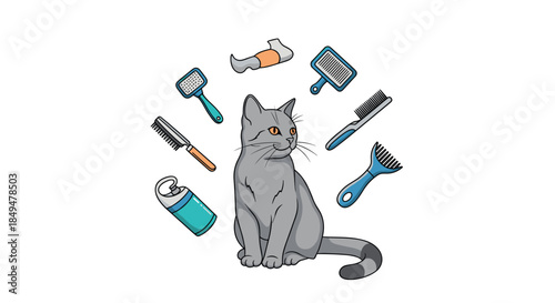 Gray British Shorthair cat surrounded by a circle of various grooming tools, including brushes, combs, and pet shampoo.