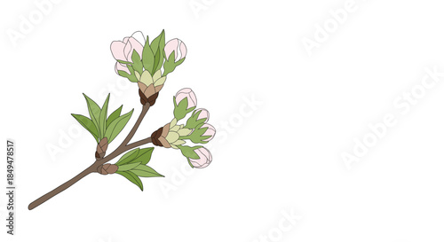 Delicate illustration of a budding tree branch with new green leaves and closed pink flower buds, symbolizing spring's arrival.