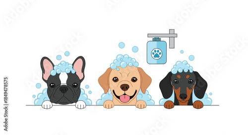 Adorable trio of dogs, a French Bulldog, Labrador, and Dachshund, enjoying a bubble bath with soap foam on their heads.