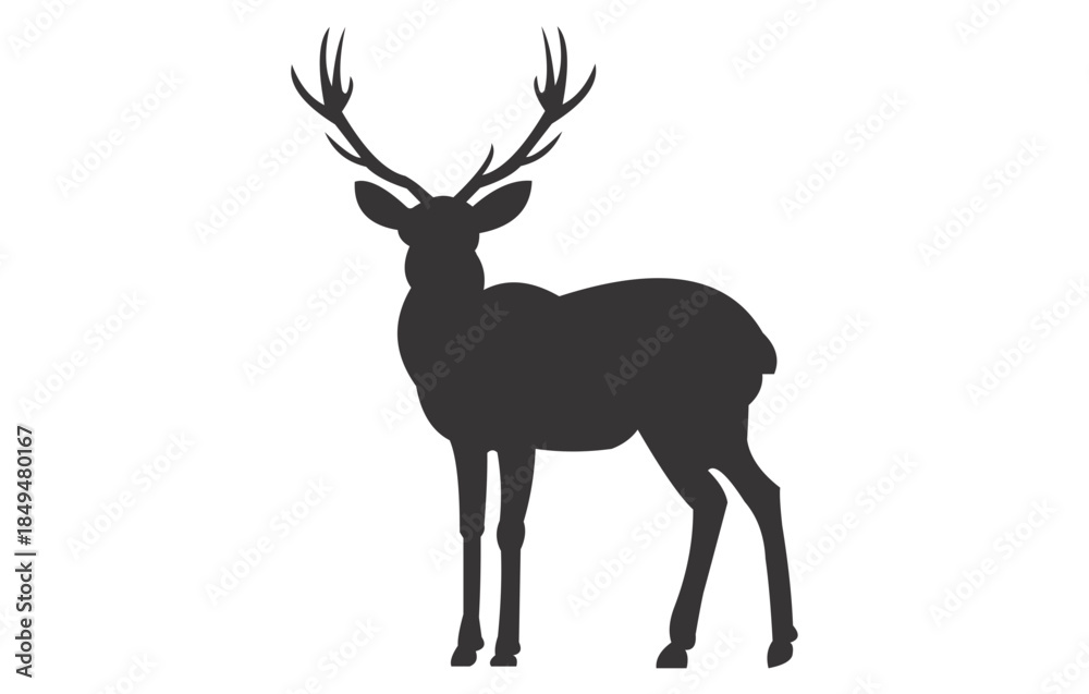 Obraz premium Deer as Wild Animals and Natural Wildlife, Not Recognizable People or Protected Property