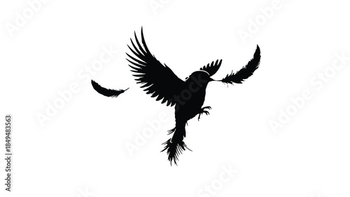 Silhouetted bird with outstretched wings in mid-flight, feathers gently falling.