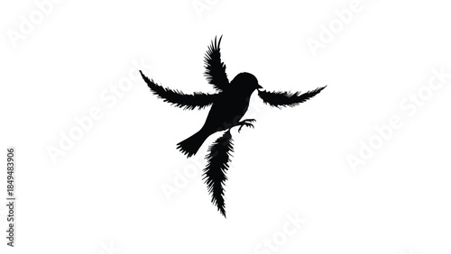 Silhouette of a bird transforming into feathers, symbolizing freedom and flight.
