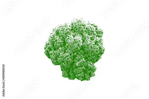 green leaf isolated on white background, green vegetable cabbage