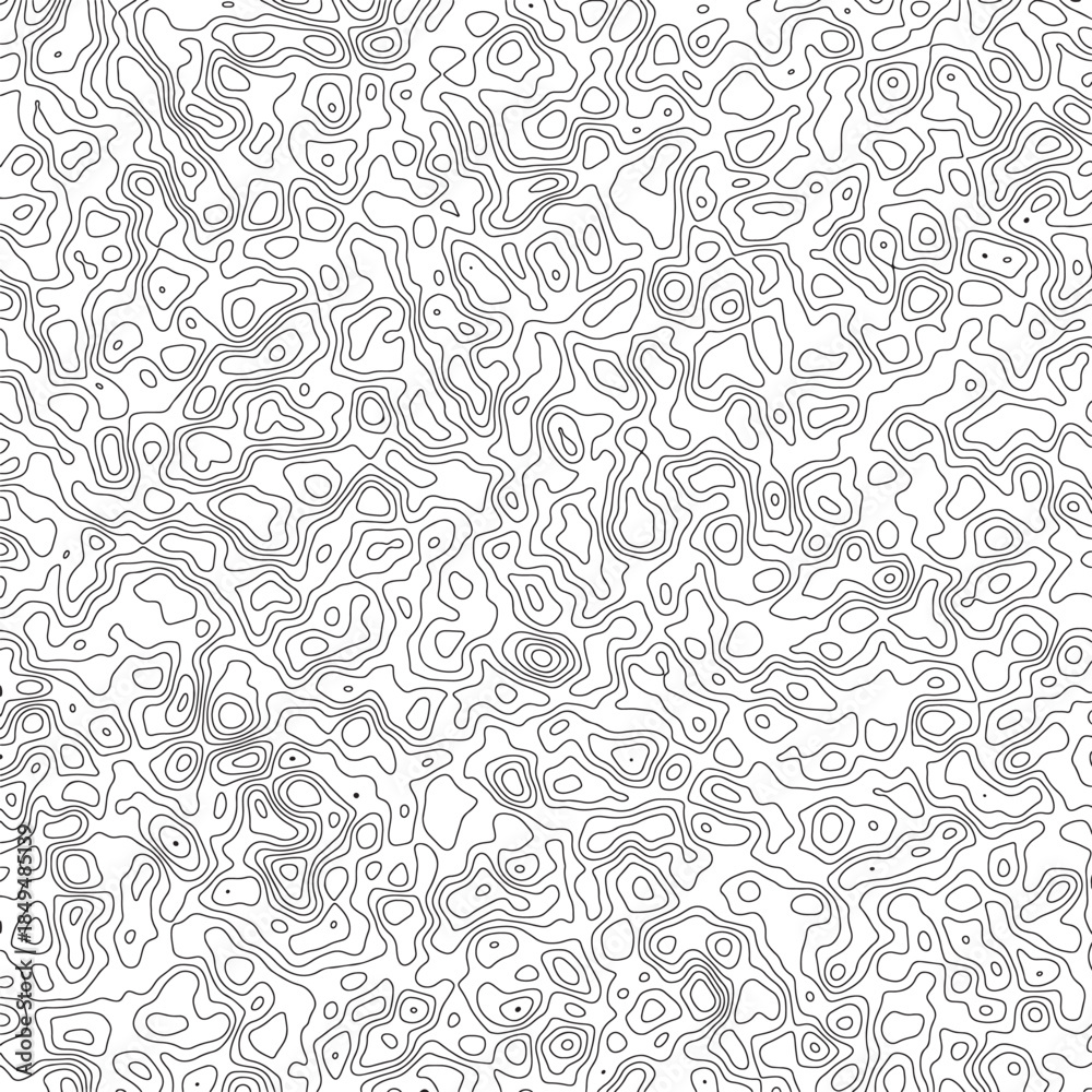 Fototapeta premium Abstract Topographic Contour Line Pattern Minimal Black and White Background