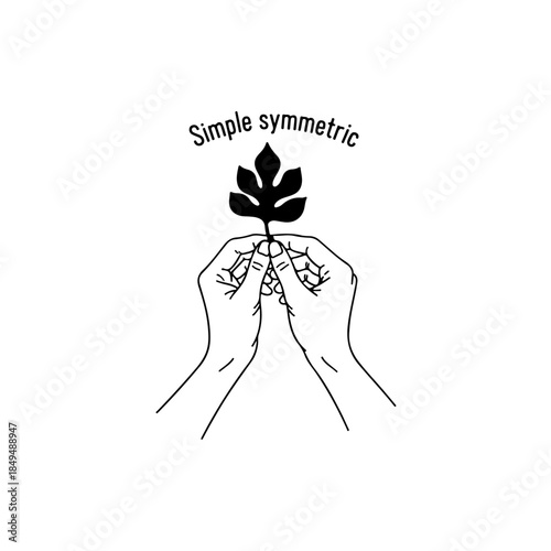 Simple symmetric leaf held by hands isolated on transparent background