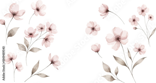 Elegant watercolor pink flowers with delicate brown-grey leaves and subtle stems, gracefully scattered across a clean white background, evoking a gentle spring aesthetic.