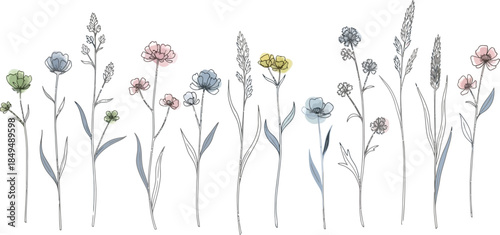 Delicate watercolor wildflowers and grasses illustration, a beautiful collection of hand-drawn botanical elements with soft pastel hues on a clean white background.