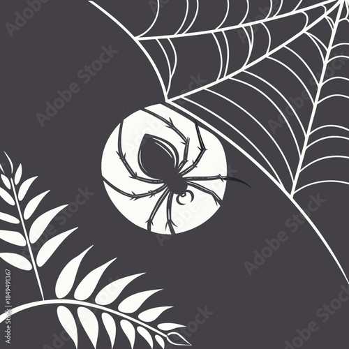 black spider on a web
