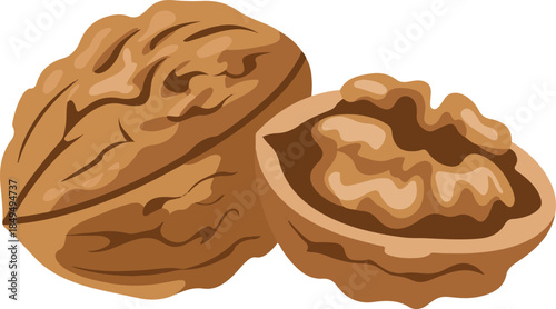 Whole walnut and a cracked walnut showing kernels, rich brown color, isolated on transparent background