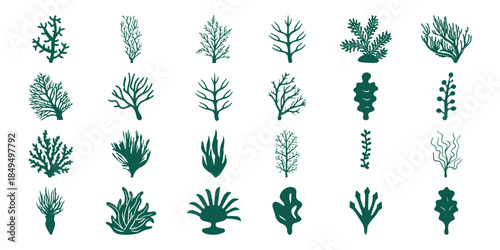 Collection of Dark Green Silhouetted Seaweed and Coral Illustrations