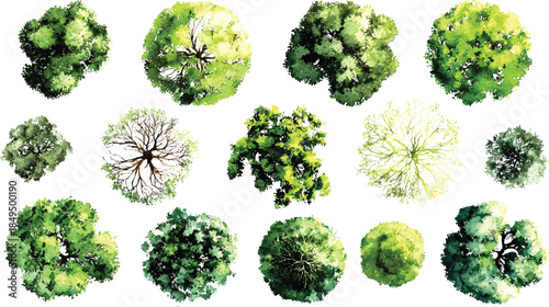 Collection of stylized green trees viewed from directly above showing varied foliage shapes and branch structures in watercolor style
