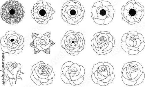 Black and white line of various flowers and roses line flowers