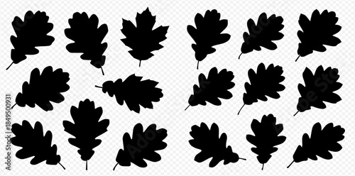 Set of black oak leaves silhouettes on a transparent background, perfect for autumn designs and nature-themed projects.