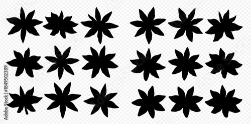 Set of black star anise spice silhouettes on a transparent background, perfect for culinary and design projects.