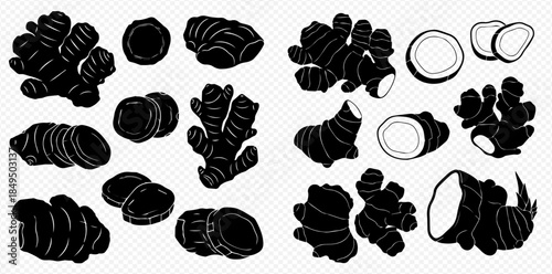 Ginger root vector silhouette set: whole, sliced, and half pieces for culinary and medicinal uses.