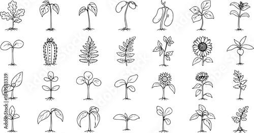 Diverse Seedling and Plant Growth Stages Hand-Drawn Vector Illustrations