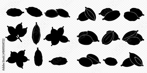 Set of black cardamom spice silhouettes, showing whole and split pods with seeds, for culinary and design use.