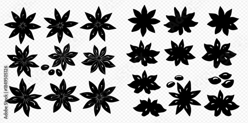 Set of star anise spice silhouettes, black vector illustration for cooking and decoration.