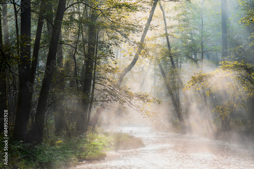 Mglisty poranek nad rzeką Łyną na Warmii.