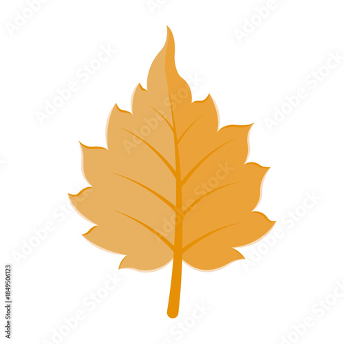 Vector colourful icon for Birch leaf