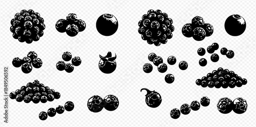Set of black and white blueberry vector illustrations, various arrangements and single berries.