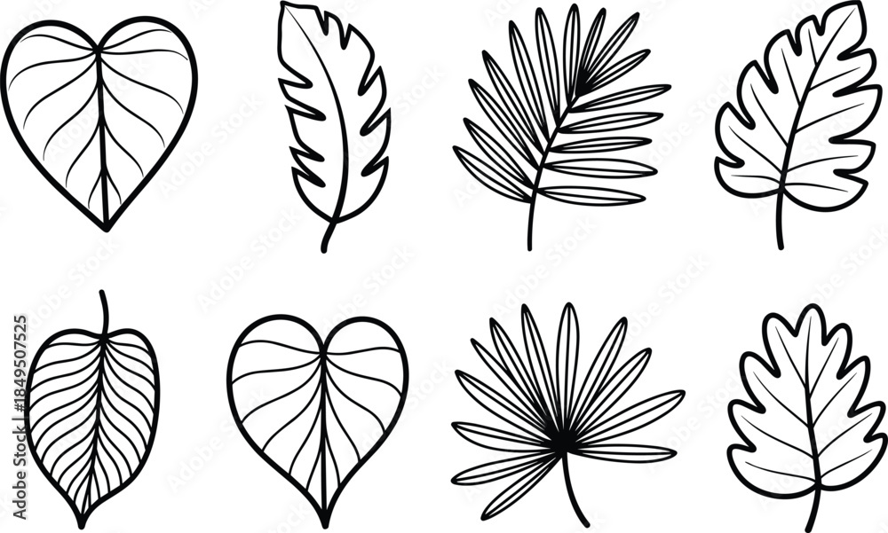 Fototapeta premium Six Different Types of Leaves in Black and White Line