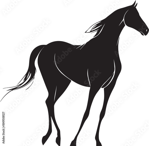 Akhal-Teke Horse Vector Silhouette Black Isolated on White Background