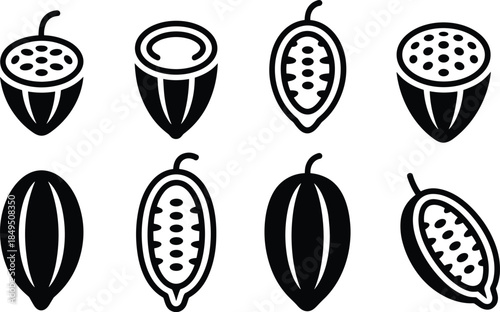 Seven black and white of cacao pods and seeds cacao seeds