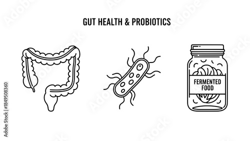 Gut Health & Probiotics Icons: Large Intestine, Bacterium, and Fermented Food Jar