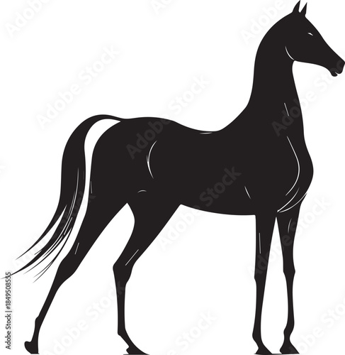 Akhal-Teke Horse Vector Silhouette Black Isolated on White Background