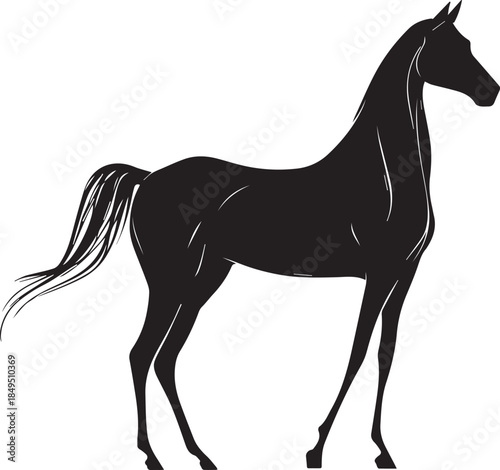 Akhal-Teke Horse Vector Silhouette Black Isolated on White Background