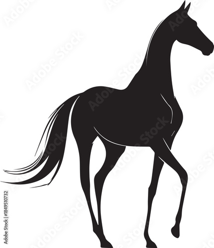 Akhal-Teke Horse Vector Silhouette Black Isolated on White Background