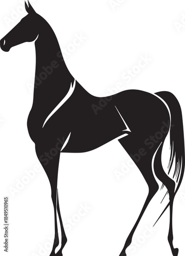 Akhal-Teke Horse Vector Silhouette Black Isolated on White Background