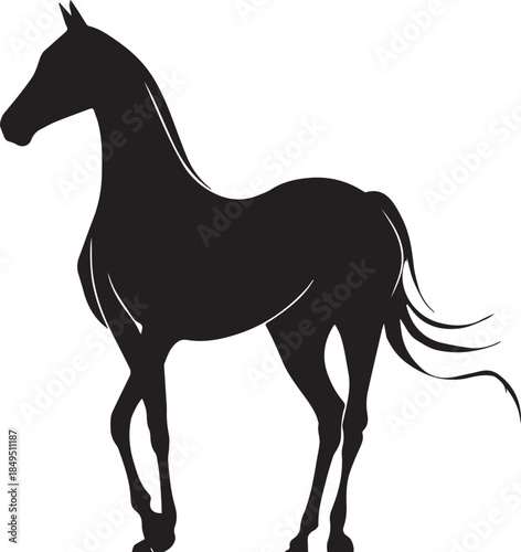Akhal-Teke Horse Vector Silhouette Black Isolated on White Background